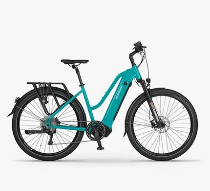 ECOBIKE LX 500