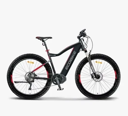 Ecobike Rx 500 Czarny 29