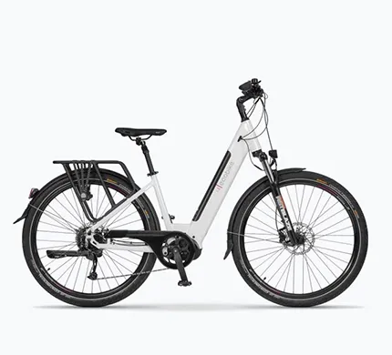 ECOBIKE LX 300