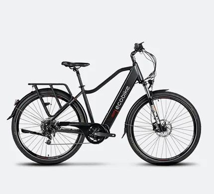 ECOBIKE MX 300